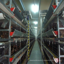 chicken cage factory for layer feed poultry farming mesh wire machine